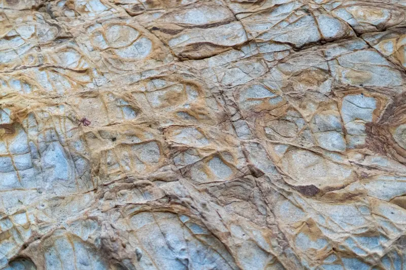 头皮养护与术后管理一体化方案对植发成活率的影响研究