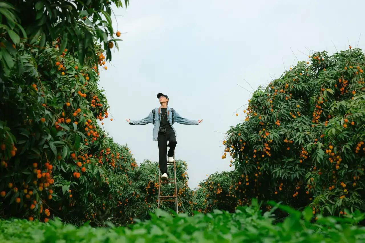 植发手术术后恢复周期管理：科发源头皮养护方案解析
