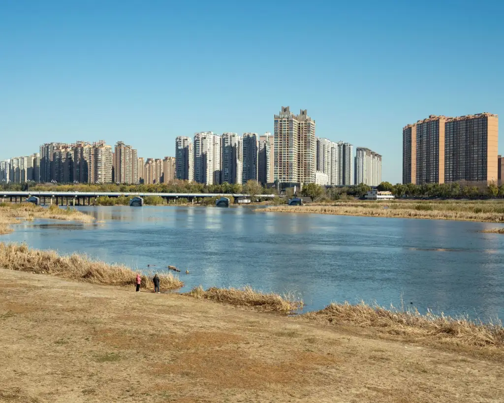 科发源植发手术FUE与FUT技术参数对比及适用人群分析