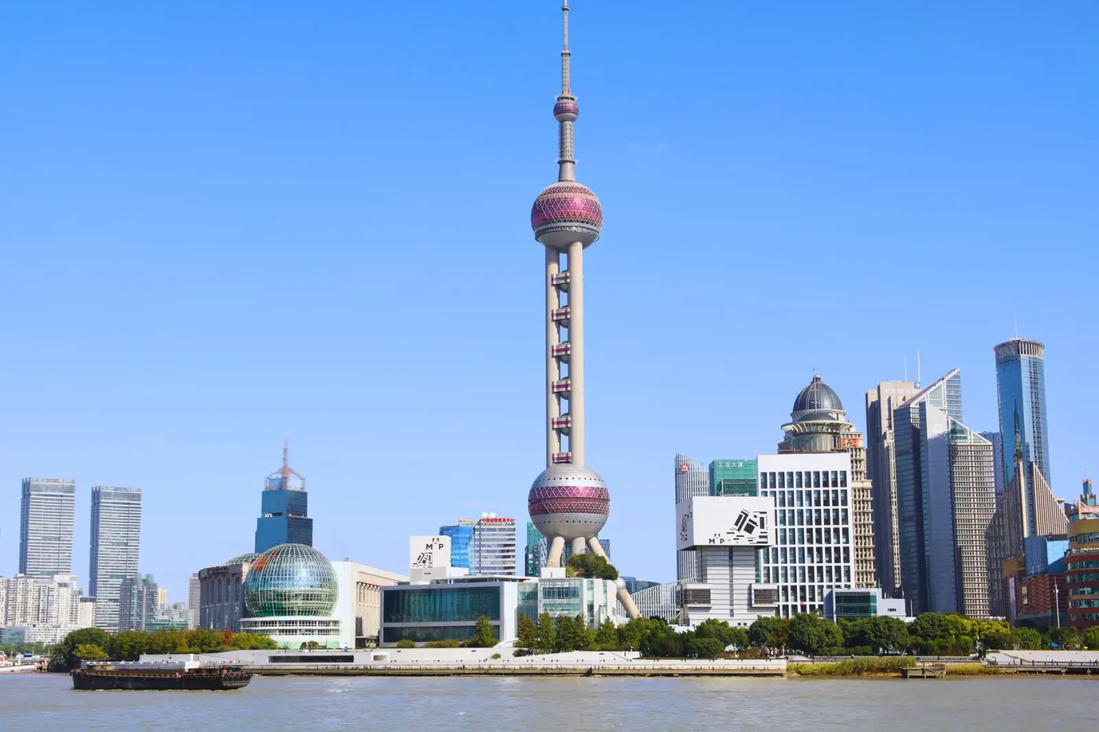 植发手术与毛发再生技术演进：从FUE到毛囊体外激活的临床应用对比正文配图 2
