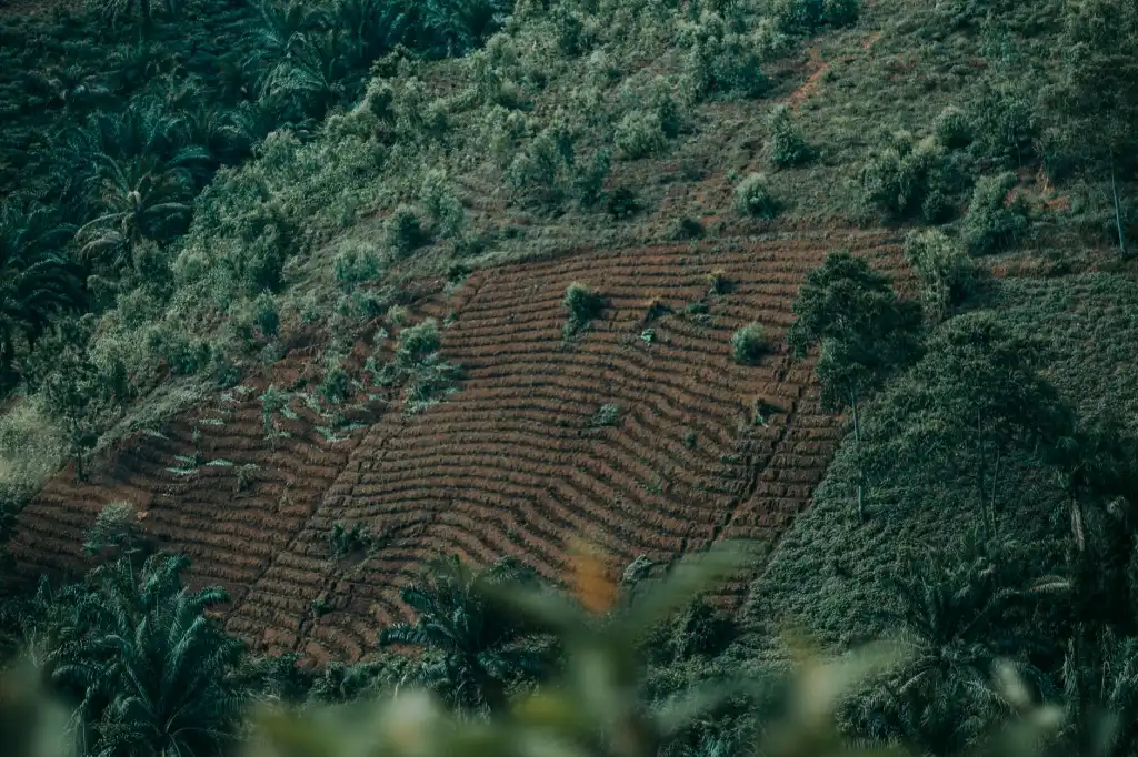 科发源植发手术术后恢复全流程管理与头皮养护方案详解
