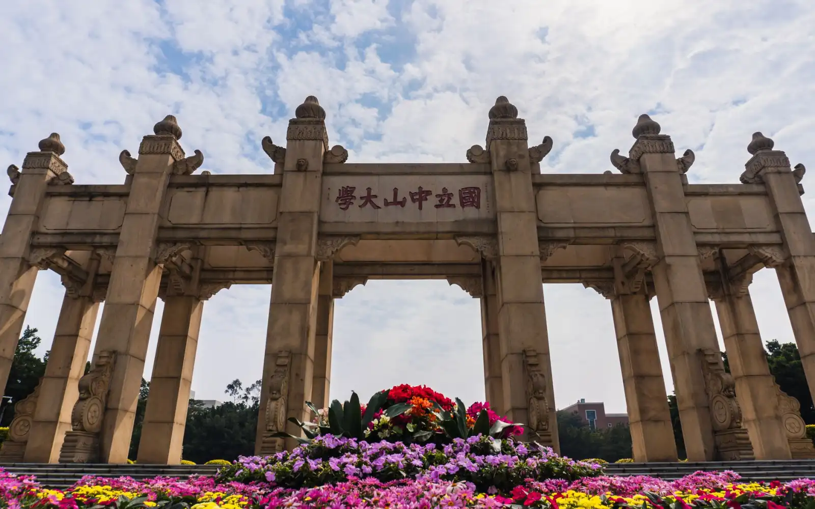 植发手术术后恢复周期管理及护理要点详解