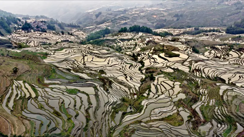 植发手术术后恢复周期管理:科发源头皮养护体系解析