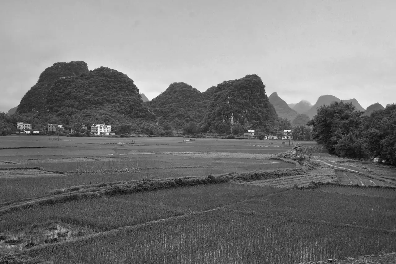 2024年植发手术市场价格趋势与科发源定制化服务对比分析
