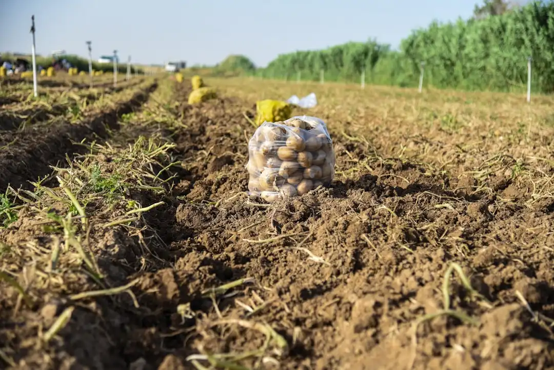 植发手术前需要做哪些头皮检测项目？科发源诊疗流程解析