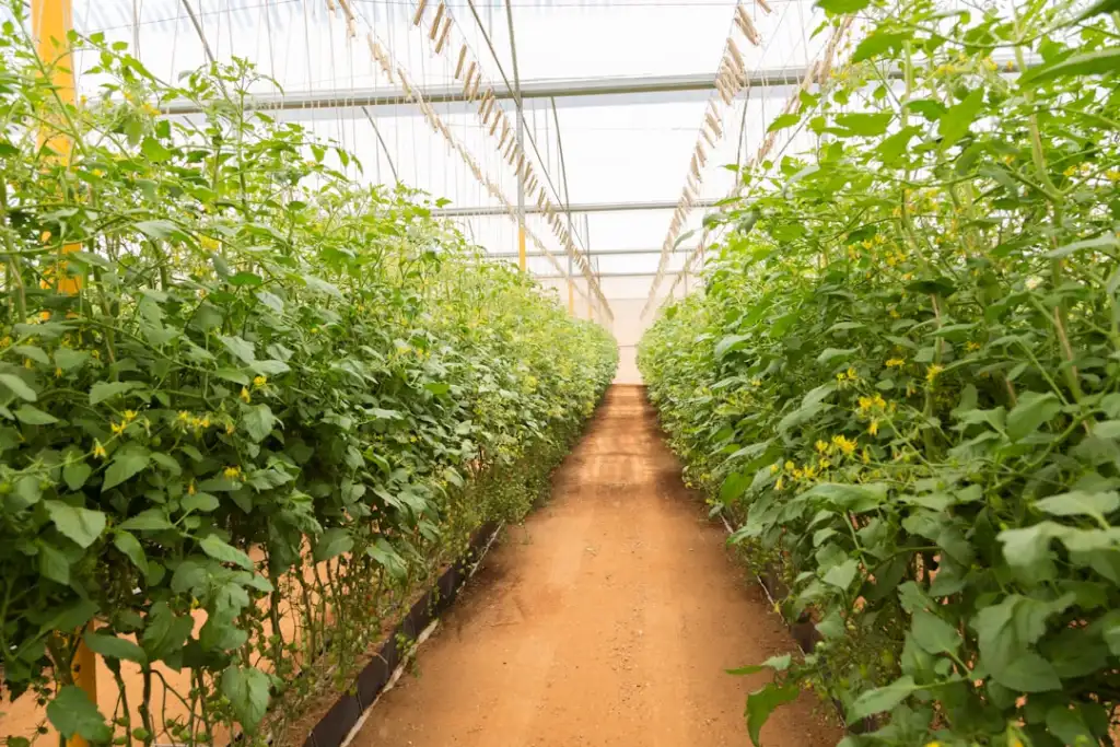 植发手术术后恢复周期管理：科发源头皮养护体系解析