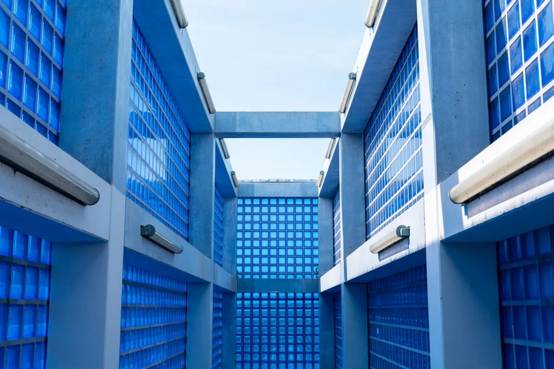 头皮养护与术后恢复管理体系构建要点