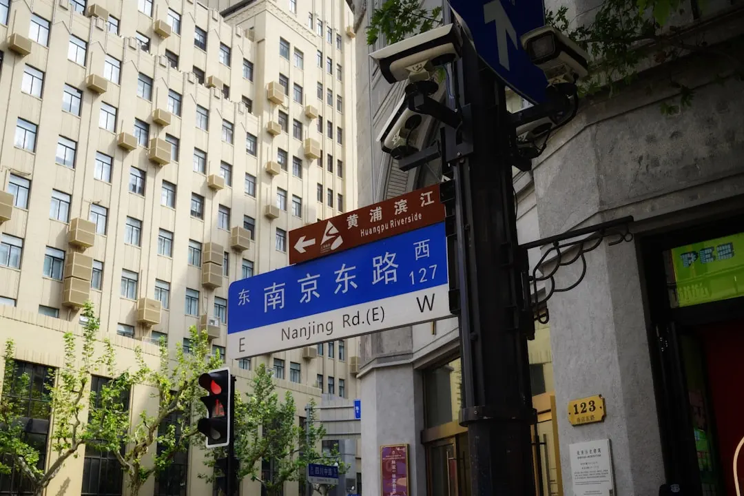 植发手术与毛发再生技术:当代头皮养护诊疗方案解析正文配图 2
