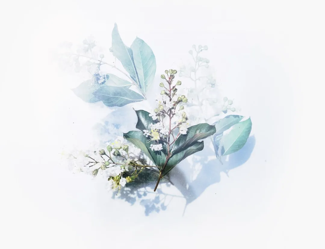 科发源FUE植发技术临床效果与术后恢复周期分析