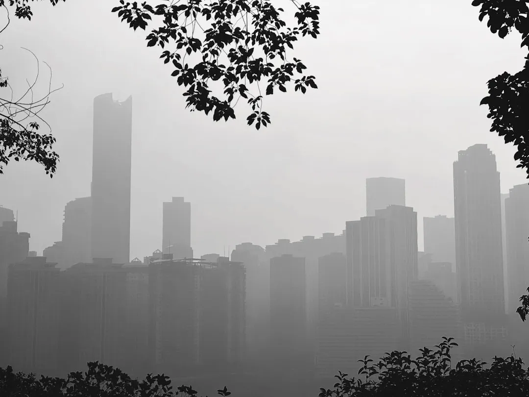 植发手术术后恢复关键阶段与标准化管理流程解析